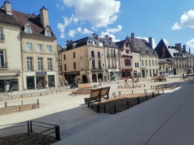 Apartment Au Coeur De La Dijon